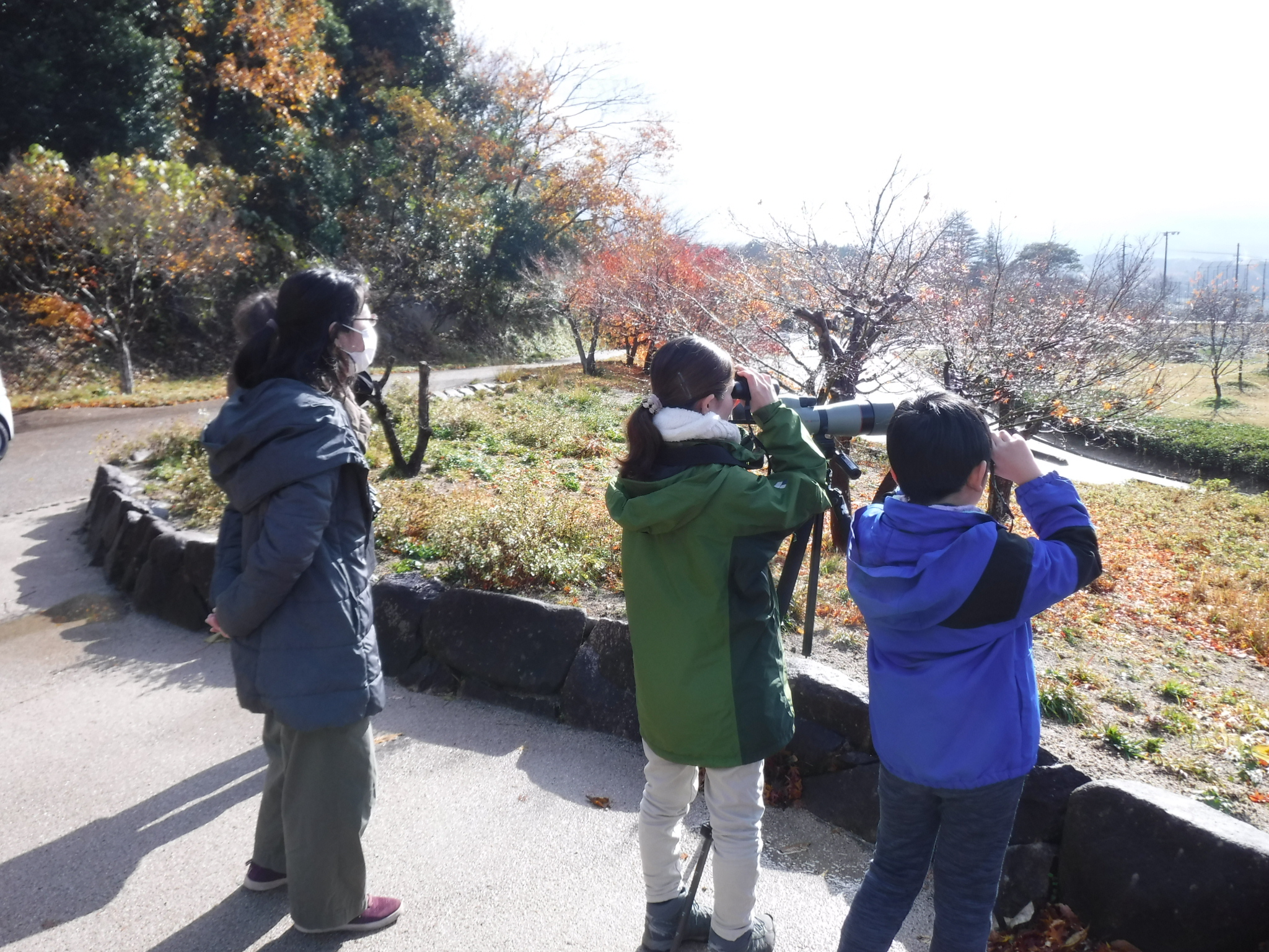 観察会のようす